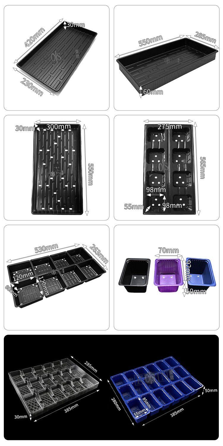 Plastic PS Plant germination tray