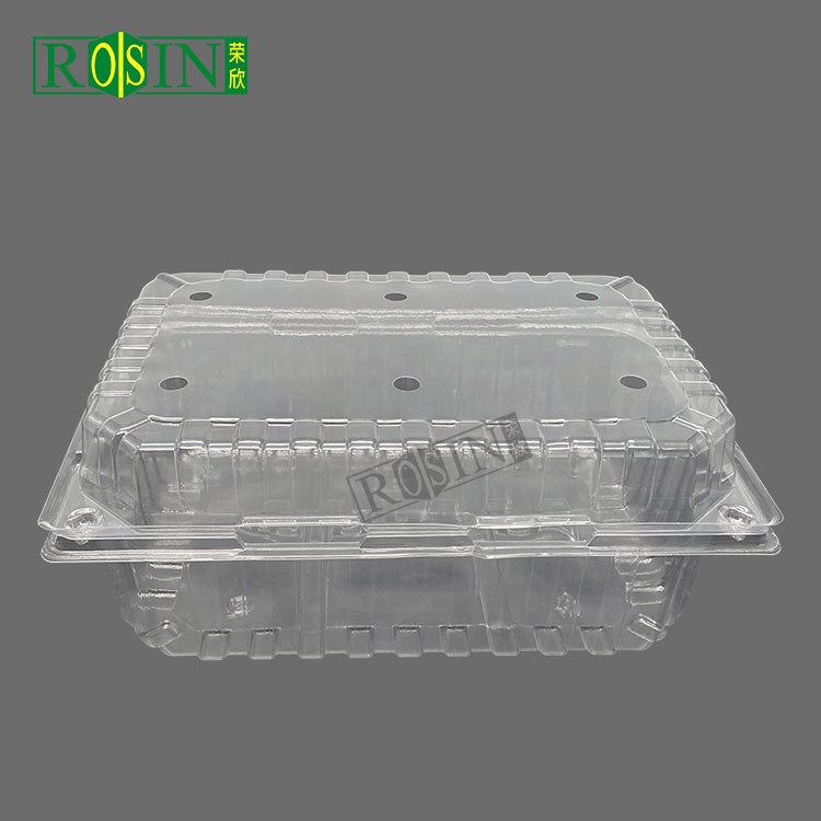 plastic fruit container