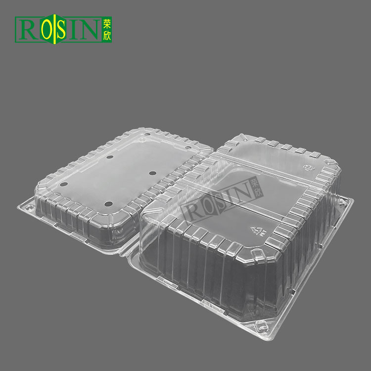 thermoformed plastic containers