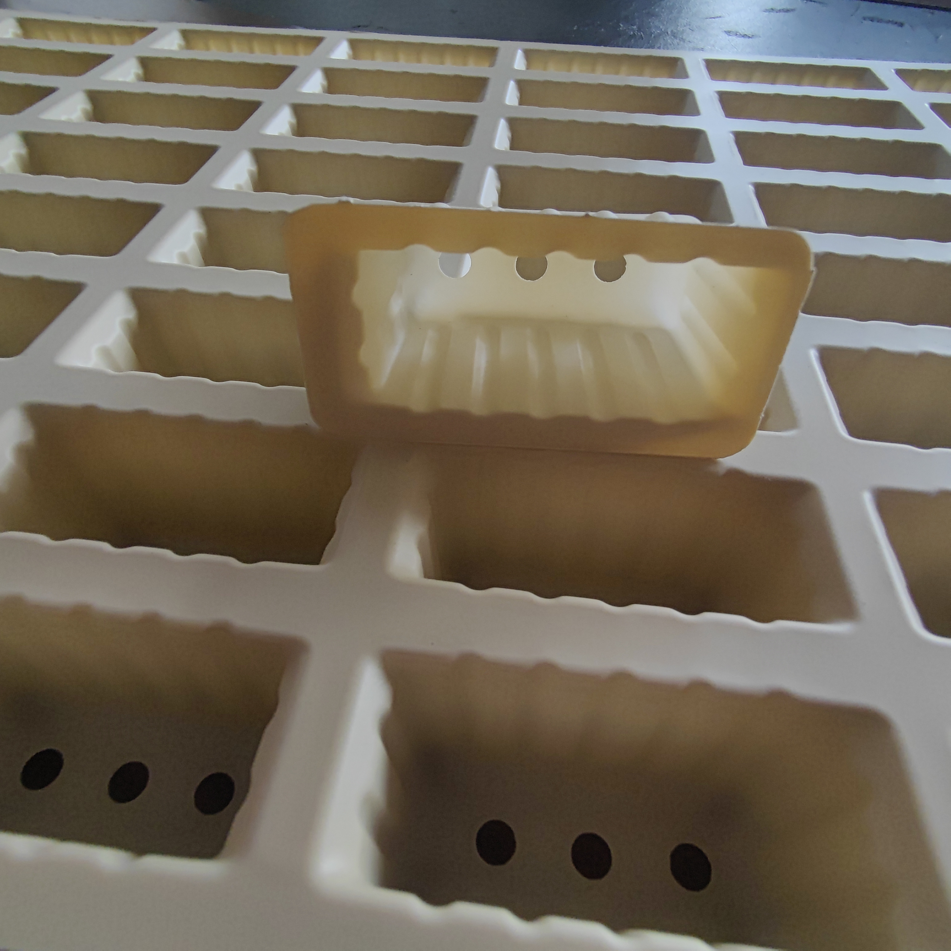 100 hole corn starch trays for seeds