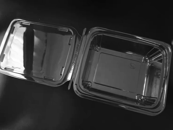vacuum formed dried fruit clamshell box