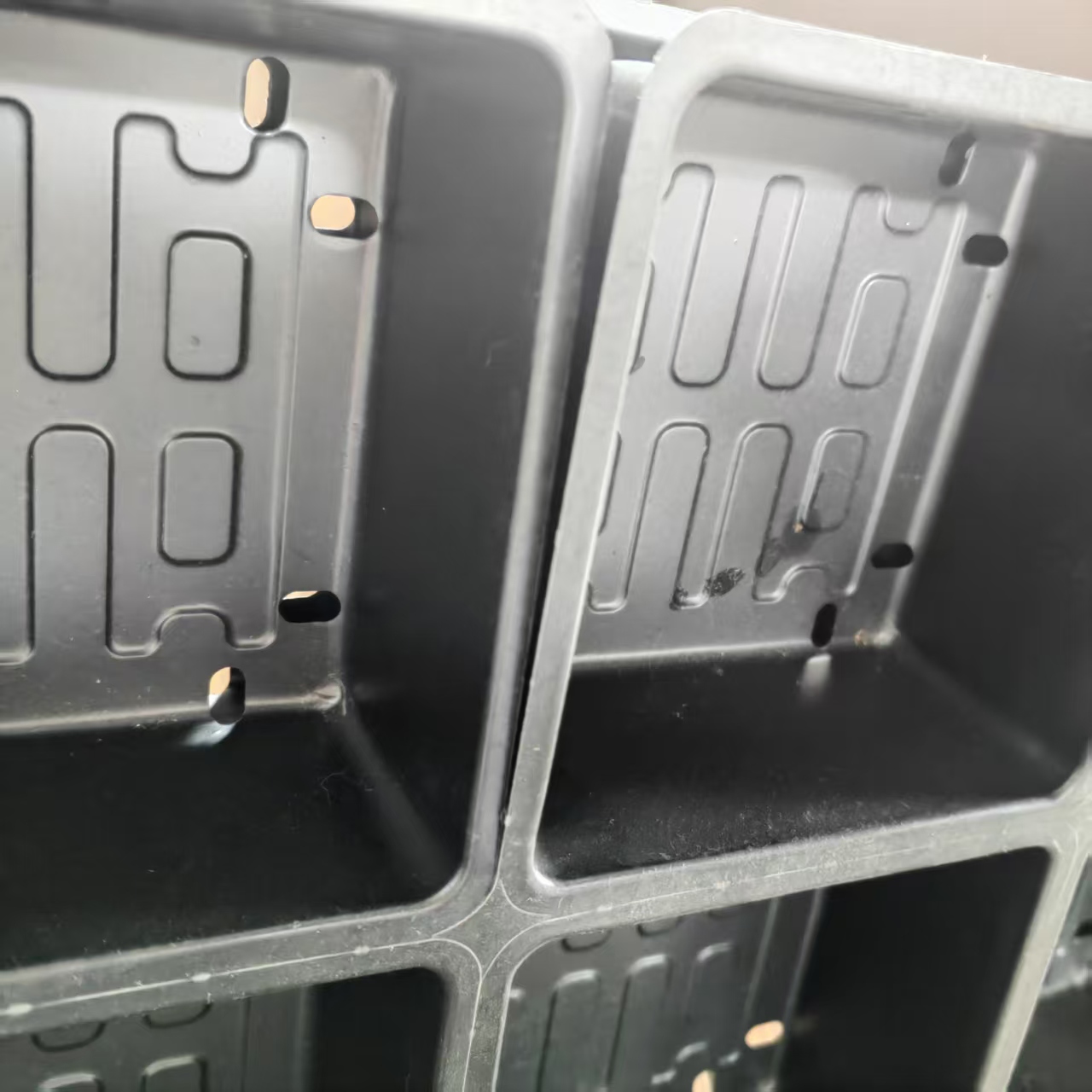 3 cavity seedling tray