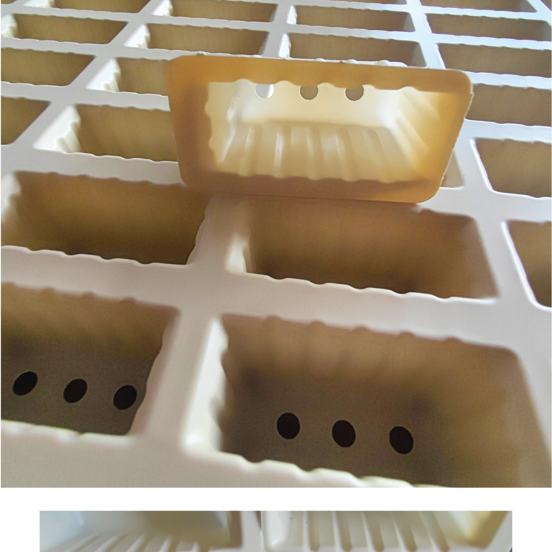 Degradable corn starch seedling pot