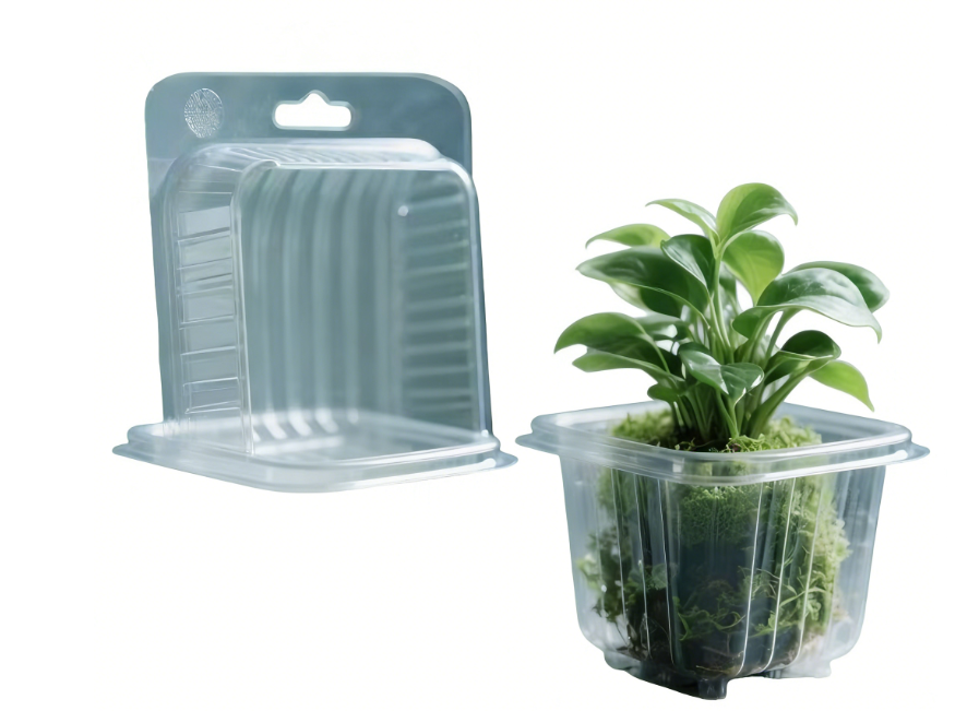 OEM plant packaging