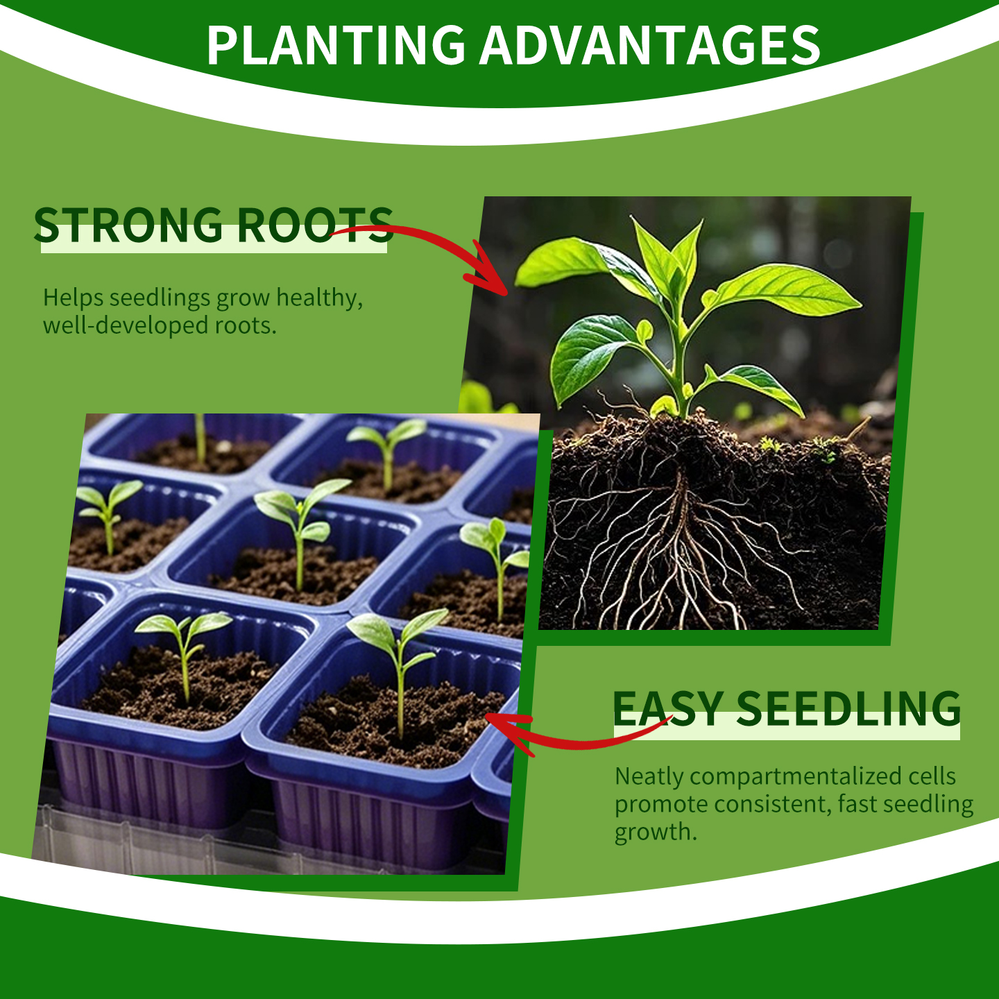 home gardening seedling tray