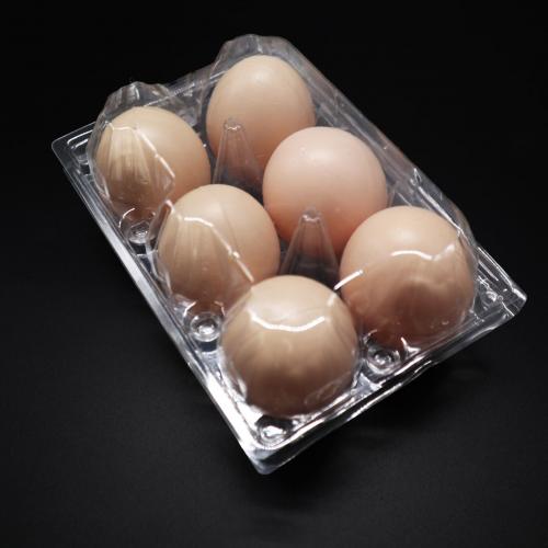6 ثقوب صينية بيض للاستعمال مرة واحدة شفافة مع غطاء
