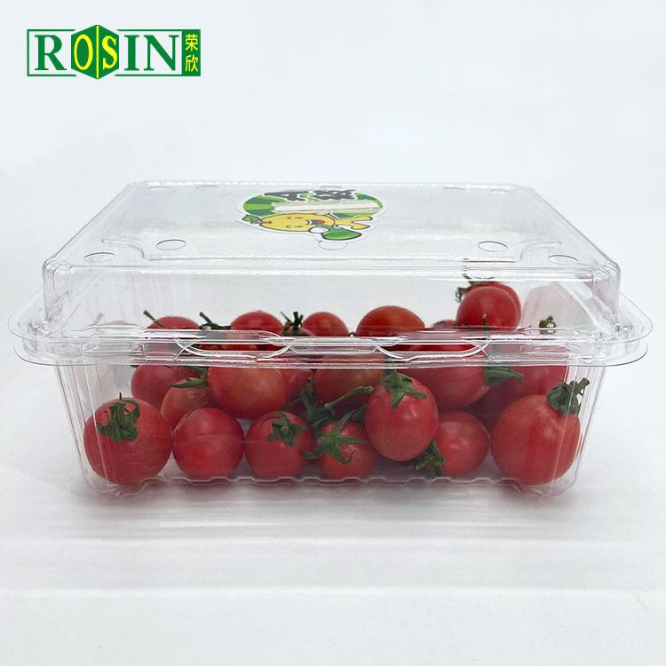 Plastic Fruit Container
