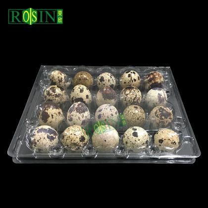 Quail Egg Tray