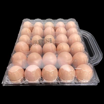 egg tray