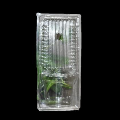 Compostable Seed Trays