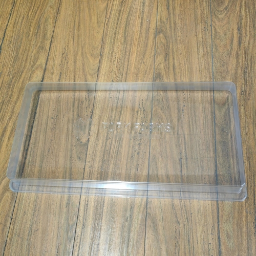 plastic tray