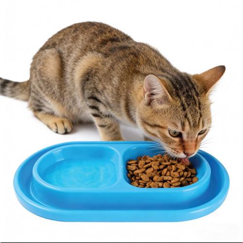 وعاء أرز شفاف خارجي للحيوانات الأليفة من بلاستيك PET على شكل عبوة فقاعية مقاوم للحشرات والانقلاب وقابل للتخصيص للاستخدام مرة واحدة