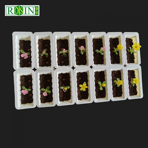 plastic tray