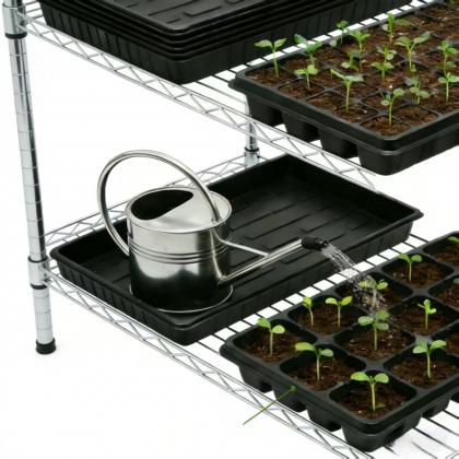 plastic tray