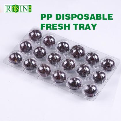 Plastic Trays