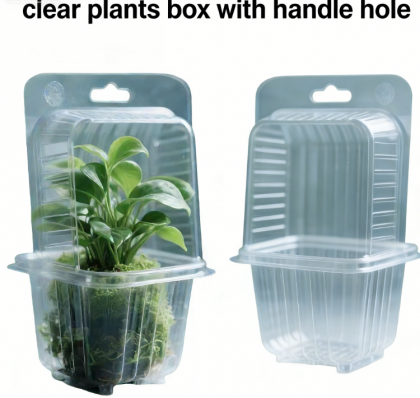 Plastic Trays