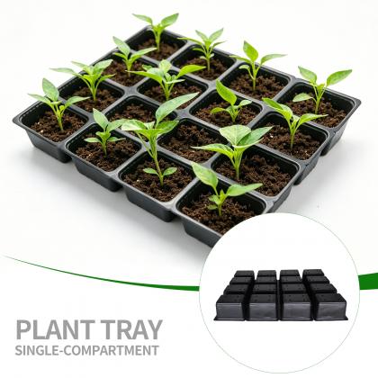 Plastic Trays