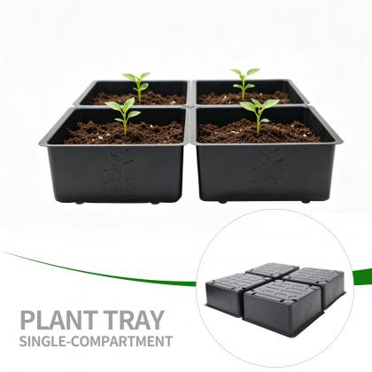 Plastic Trays