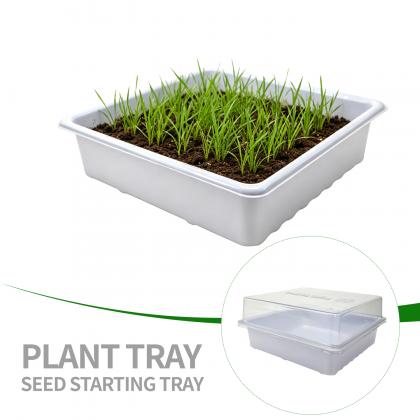 Plastic Trays