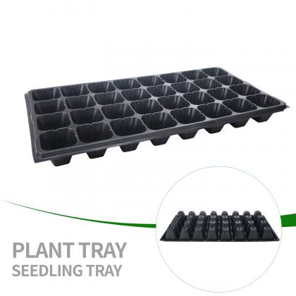 Plastic Trays