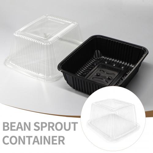 Plastic Trays